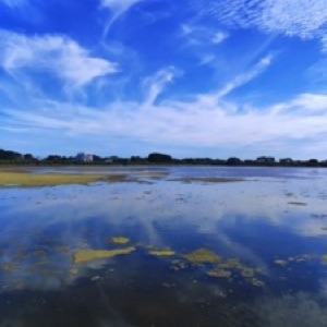 Des morceaux de Bretagne sud avec @mai_lv et @juliepetillot 👌.#france #landscape #bretagne